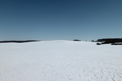 Killikus&reg; Fotographie