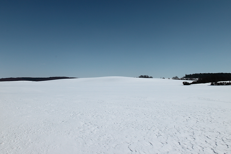 Killikus&reg; Fotographie