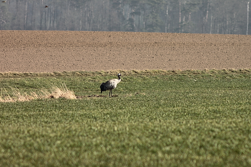 Killikus&reg; Fotographie