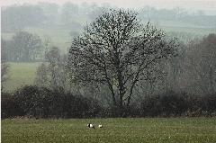 Killikus&reg; Fotographie