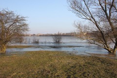 Killikus&reg; Fotographie