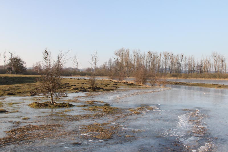 Killikus® Fotographie Killikus® Fotographie