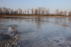 Killikus&reg; Fotographie