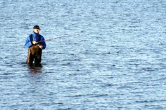 Killikus&reg; Fotographie