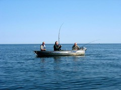 Killikus&reg; Fotographie