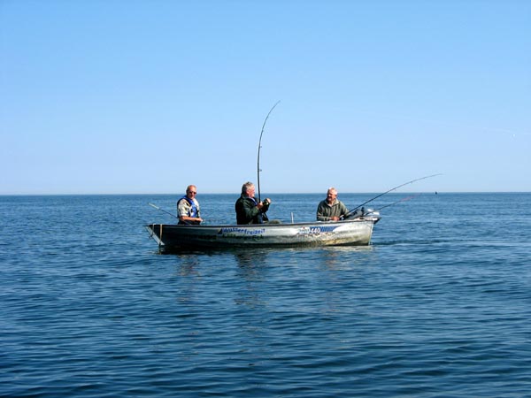 Killikus&reg; Fotographie