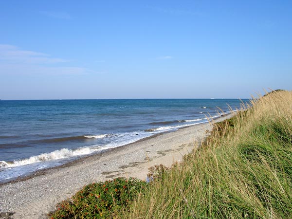 Killikus&reg; Fotographie