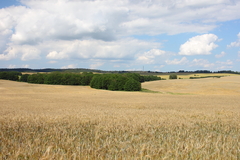 Killikus&reg; Fotographie