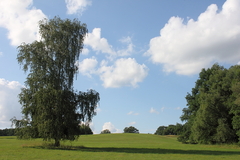 Killikus&reg; Fotographie