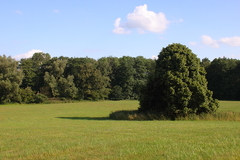 Killikus&reg; Fotographie