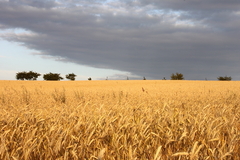 Killikus&reg; Fotographie