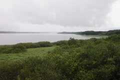 Killikus&reg; Fotographie