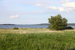 Killikus&reg; Fotographie