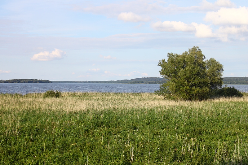 Killikus® Fotographie Killikus® Fotographie