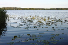 Killikus&reg; Fotographie