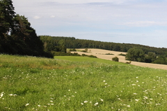 Killikus&reg; Fotographie