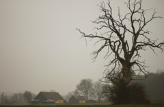 Killikus&reg; Fotographie