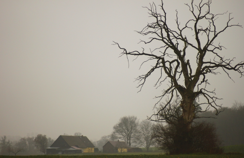 Killikus&reg; Fotographie