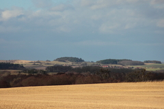 Killikus&reg; Fotographie