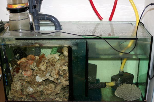 Killikus&reg; Fotographie