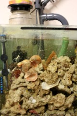 Killikus&reg; Fotographie