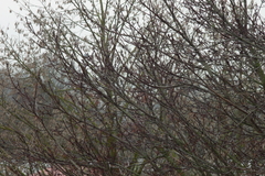 Killikus&reg; Fotographie