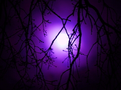 Killikus&reg; Fotographie