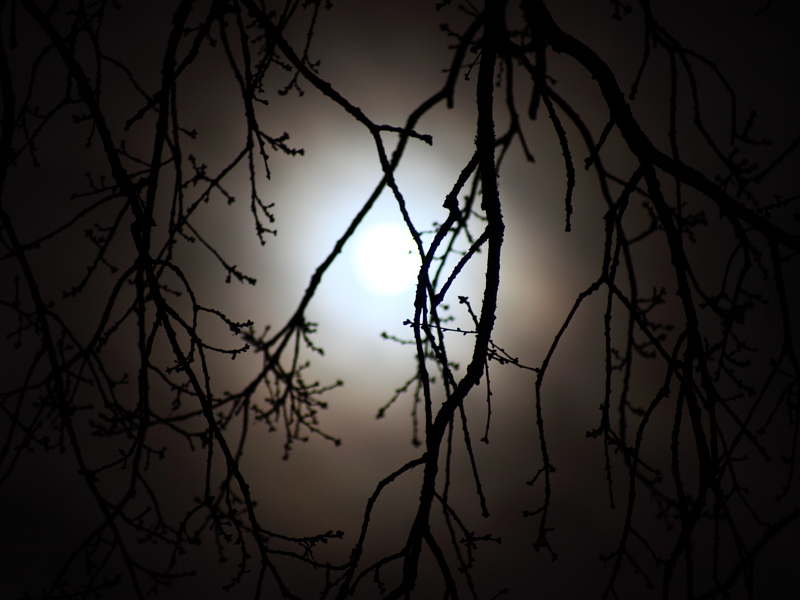 Killikus&reg; Fotographie