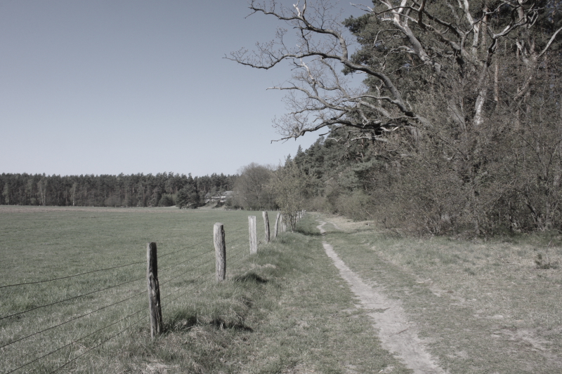 Killikus® Fotographie Killikus® Fotographie