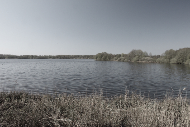 Killikus&reg; Fotographie