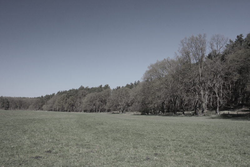 Killikus® Fotographie Killikus® Fotographie