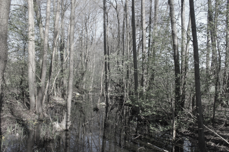 Killikus&reg; Fotographie