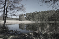 Killikus&reg; Fotographie