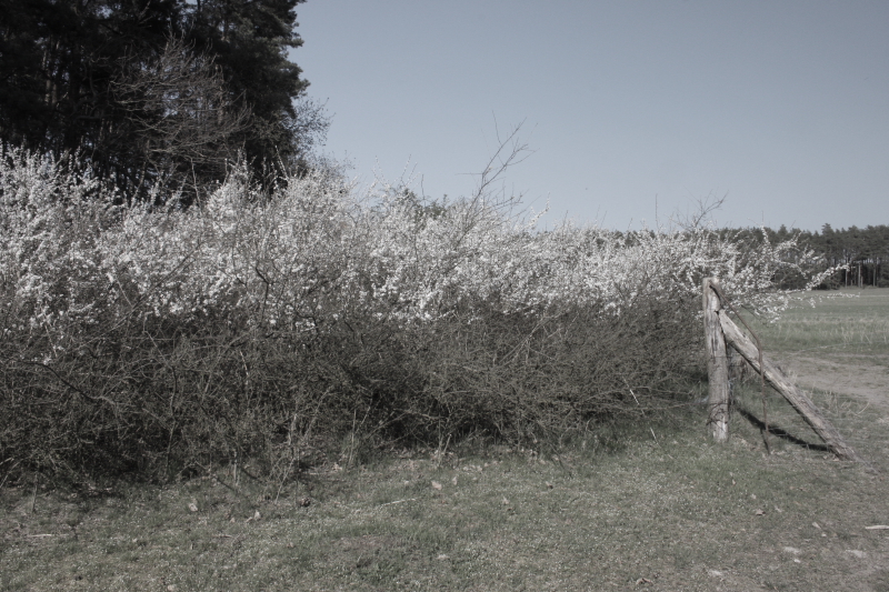 Killikus&reg; Fotographie