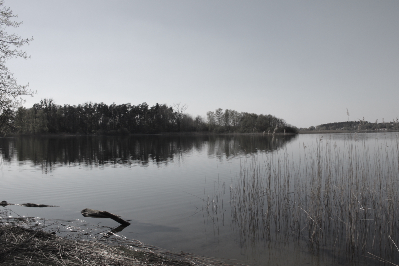 Killikus&reg; Fotographie