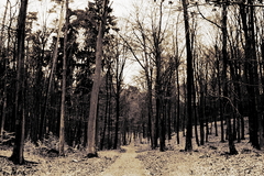 Killikus&reg; Fotographie