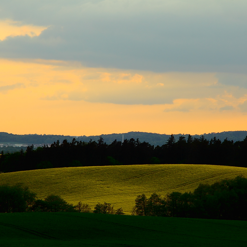 Killikus&reg; Fotographie