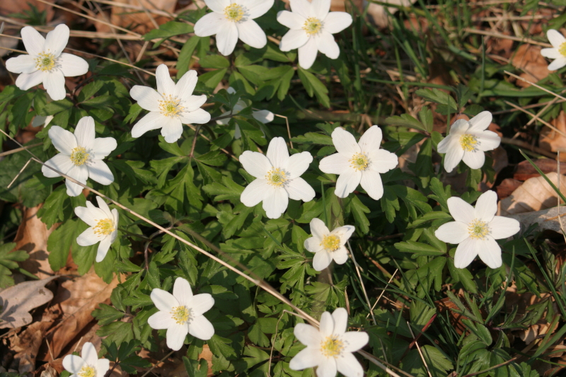 Killikus&reg; Fotographie