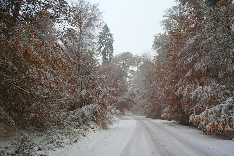 Killikus&reg; Fotographie