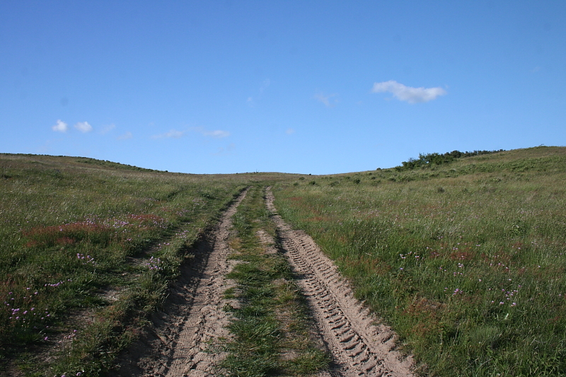 Killikus&reg; Fotographie