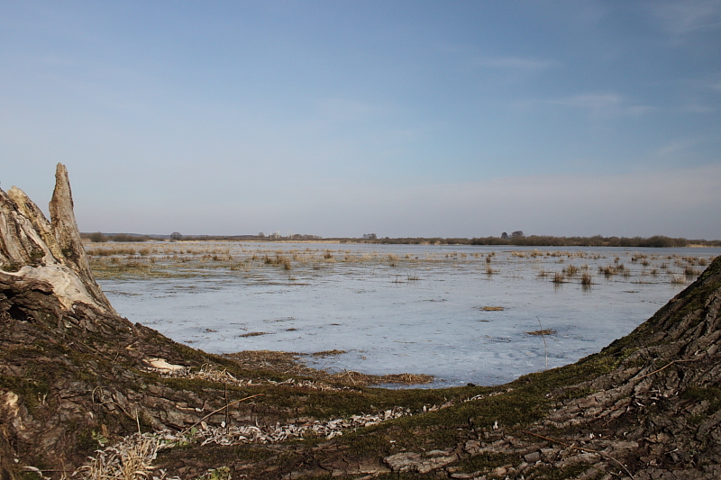 Killikus&reg; Fotographie