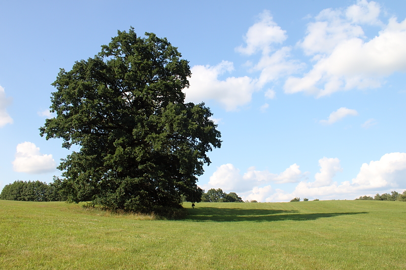 Killikus&reg; Fotographie