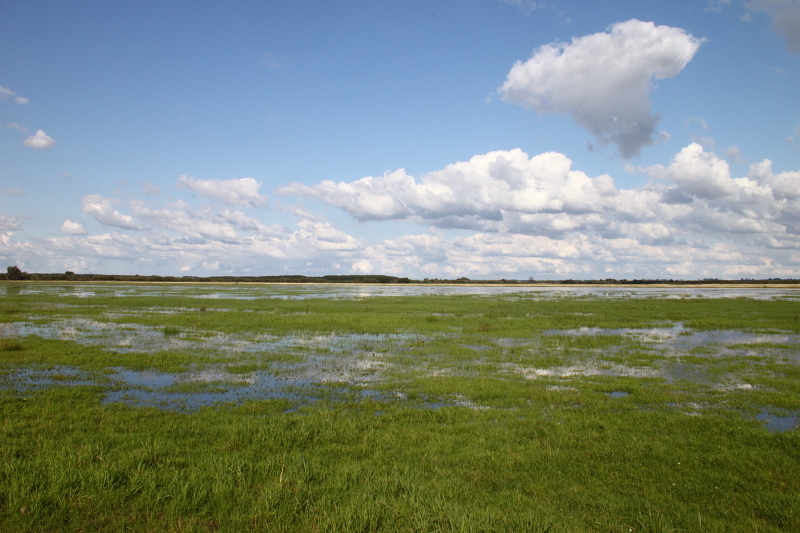 Killikus&reg; Fotographie