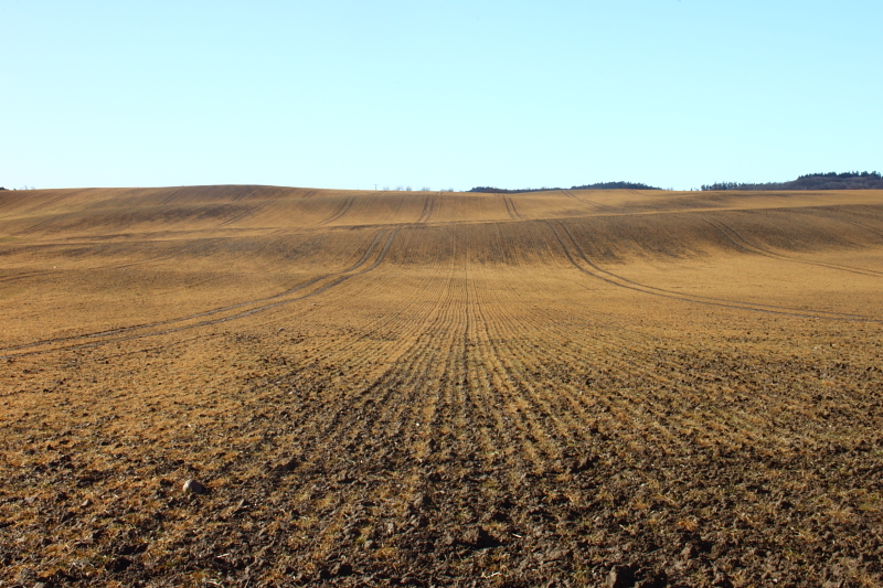 Killikus&reg; Fotographie