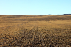 Killikus&reg; Fotographie