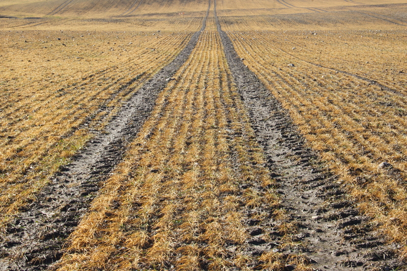 Killikus&reg; Fotographie