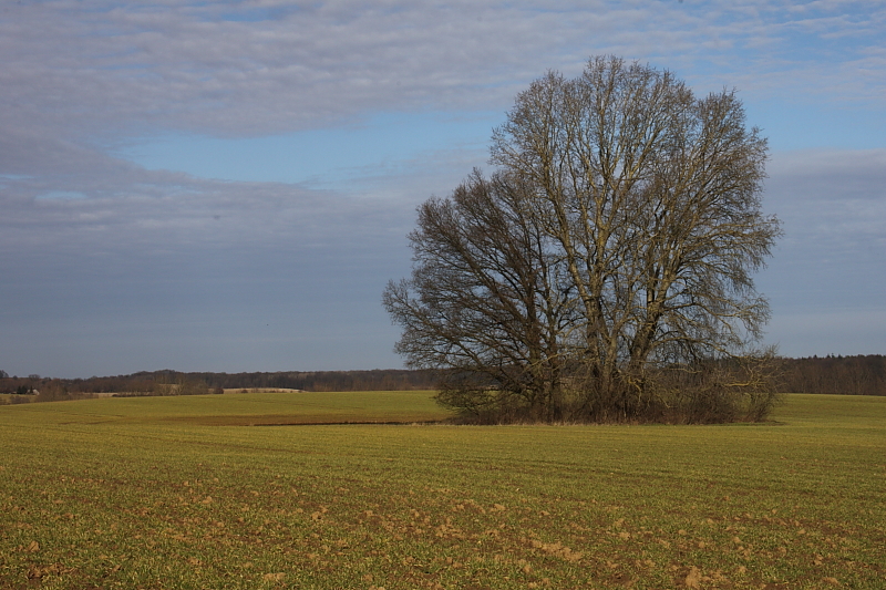 Killikus&reg; Fotographie