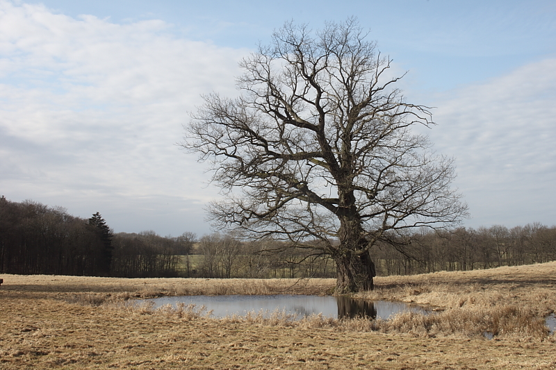 Killikus&reg; Fotographie