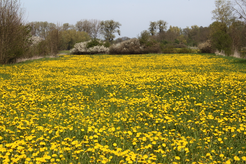 Killikus&reg; Fotographie