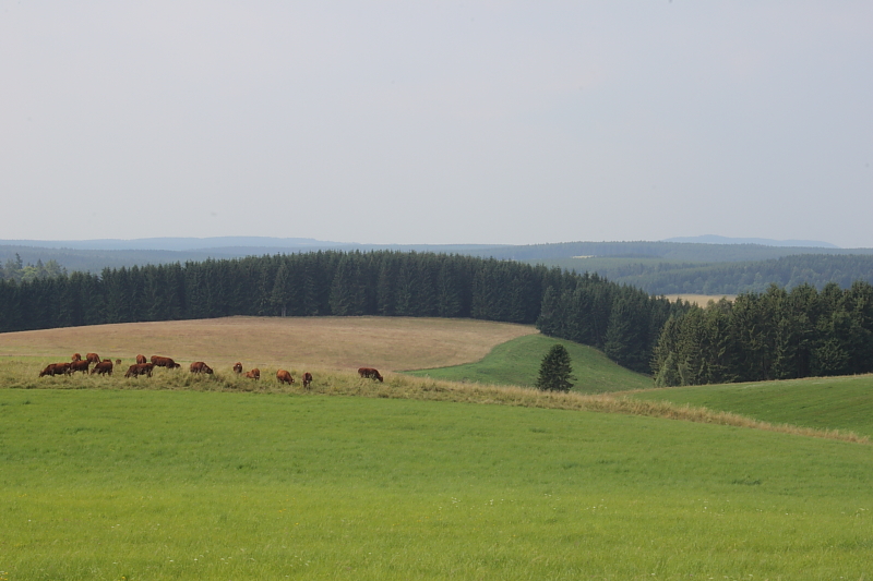 Killikus&reg; Fotographie